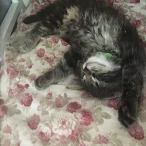 Meet your Posher, Sandra